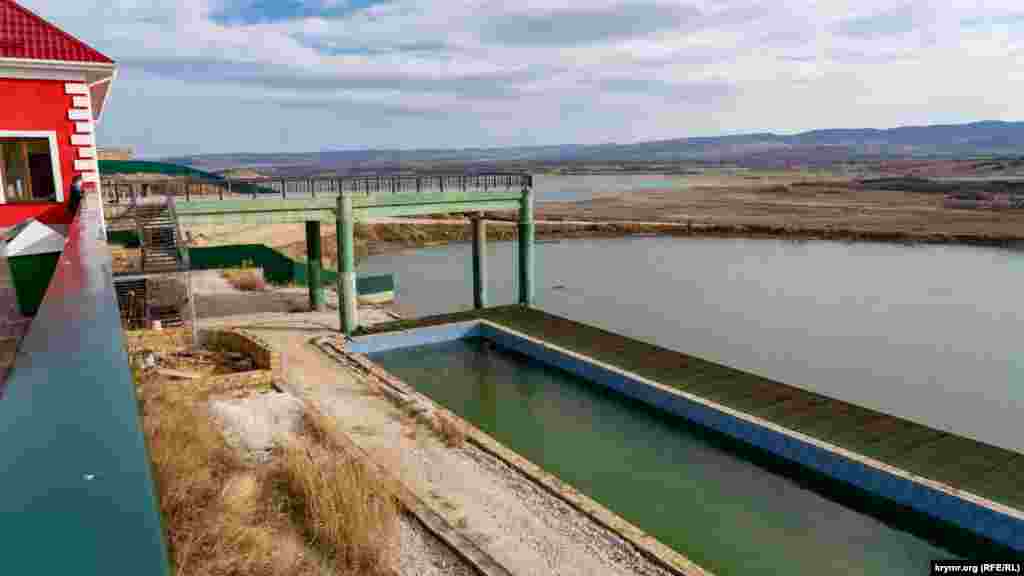 Вид на Тайганское водохранилище (на заднем плане) со смотровой парковой площадки &laquo;Гора обезьян&raquo;