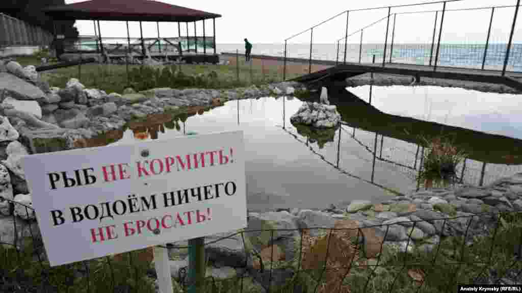 Рыбок в этом водоеме на самом деле нет