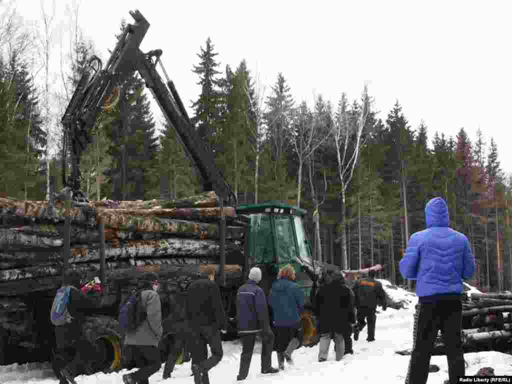 Защитники Химкинского леса протестуют против продолжения строительства трассы Москва-Санкт-Петербург