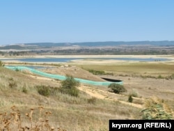 Слонихи Магда и Дженни гуляют на фоне крымского предгорья в парке «Тайган» Белогорский район. Крым, сентябрь 2024 года