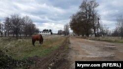 Село Фрунзе Сакского района, 2019 год