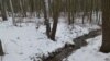 Belarus - the hunting in Belarus forests, the house of forest keeper, 8Feb2015