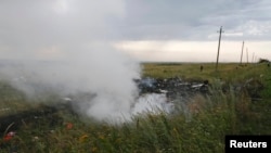 Обломки самолета, упавшего недалеко от населенного пункта Грабово в Донецкой области. 17 июля 2014 года.