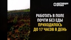 "Догоняли, ловили и били": белорус рассказывает, как попал в трудовое рабство в России