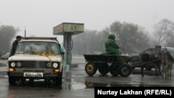 Абат ауылында жанармай тапшылығы жайлы флеш-моб өткізушілер «Жигули» көлігін есек арбаға тіркеді. Алматы облысы, 8 қараша 2014 жыл. (Көрнекі сурет.)