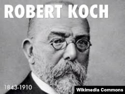 Роберт Кох, немецкий ученый, открывший бактерию, вызывающую туберкулез