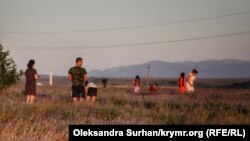 Лавандовое поле в селе Тургеневка Бахчисарайского района