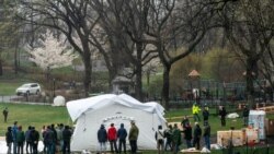 Чрезвычайный полевой госпиталь в Центральном парке Нью-Йорка