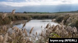 На цветущих берегах Богайлы: как живет крымское село Фрунзе (фотогалерея)